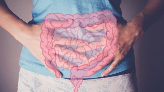 ¿Seguimos una dieta saludable? Las bacterias intestinales nos delatan