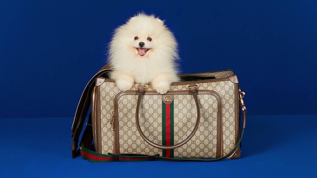 De Prada a Louis Vuitton: las mascotas más sibaritas están revolucionando el mundo del lujo