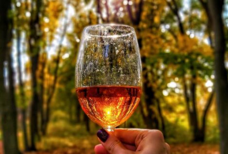 Cuando el vino sabe a otoño
