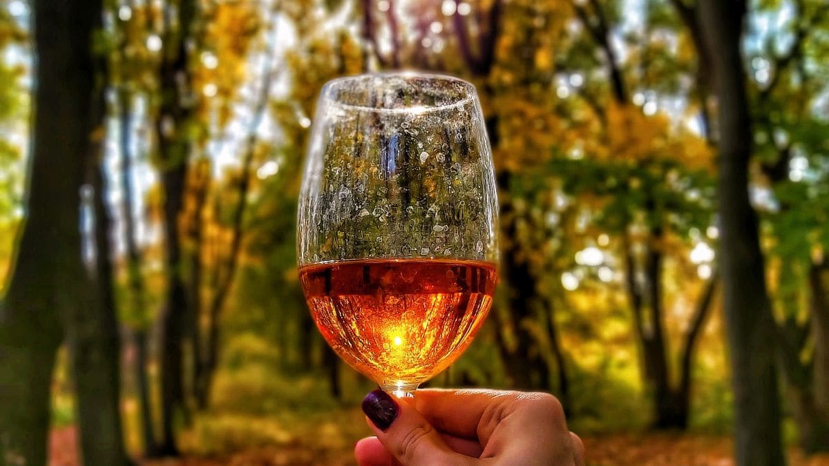 Cuando el vino sabe a otoño