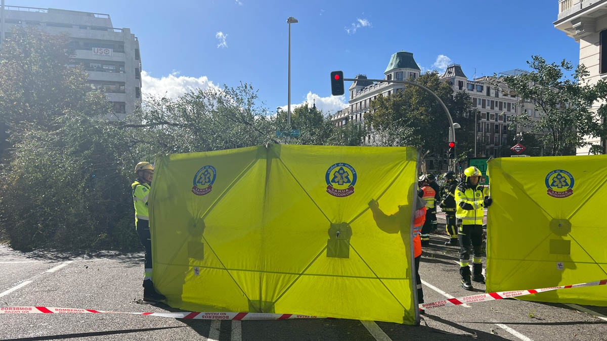 Muere una joven en Madrid tras la caída de un árbol por la borrasca Ciarán