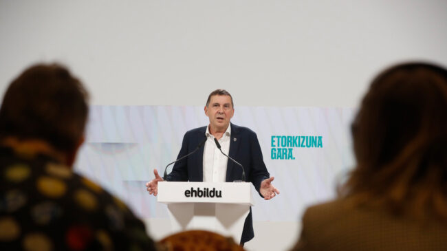 Otegi confirma que no será el candidato de Bildu para las elecciones vascas