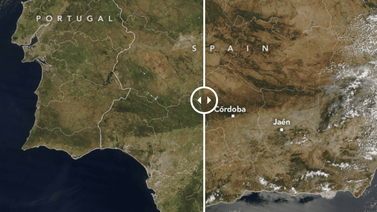 La NASA publica una imagen para mostrar su preocupación sobre el aceite de oliva