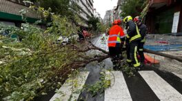 Emergencias Castilla y León atiende cerca de 700 llamadas por el temporal