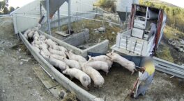 El sector sale en apoyo de los ganaderos tras la denuncia a la «granja del terror» en Burgos
