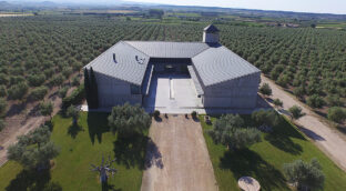 Cuatro almazaras para recorrer y probar (en directo) su aceite de oliva virgen extra