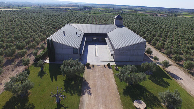 Cuatro almazaras para recorrer y probar (en directo) su aceite de oliva virgen extra