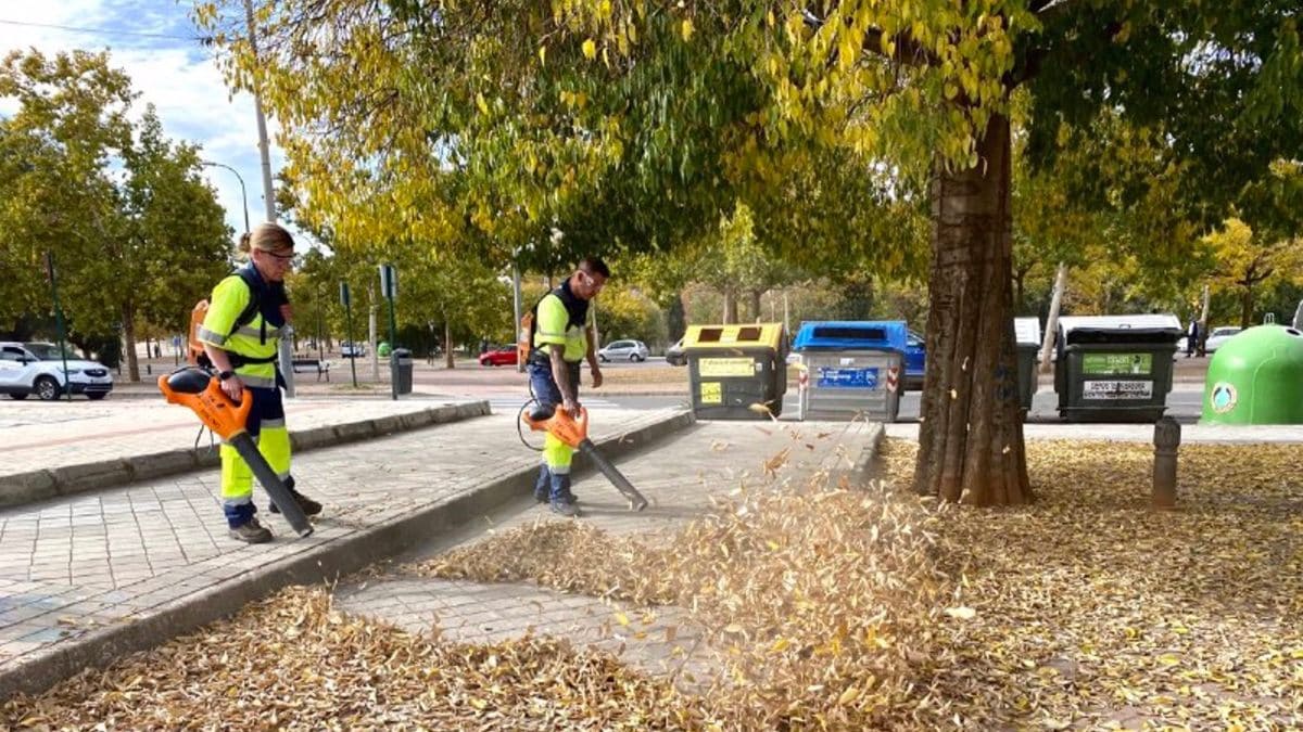 Cielo soleado en la mayor parte del país, con riesgo en algunas zonas por viento y olas