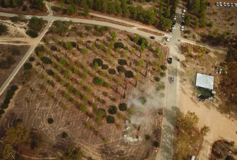 Revolución en la detección de incendios: así es la novedosa técnica que combina 5G, inteligencia artificial y drones