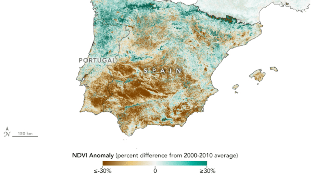 Mapa del índice de vegetación de diferencia normalizada