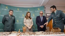 Detenido en Soria un expoliador con más de 1.000 piezas arqueológicas