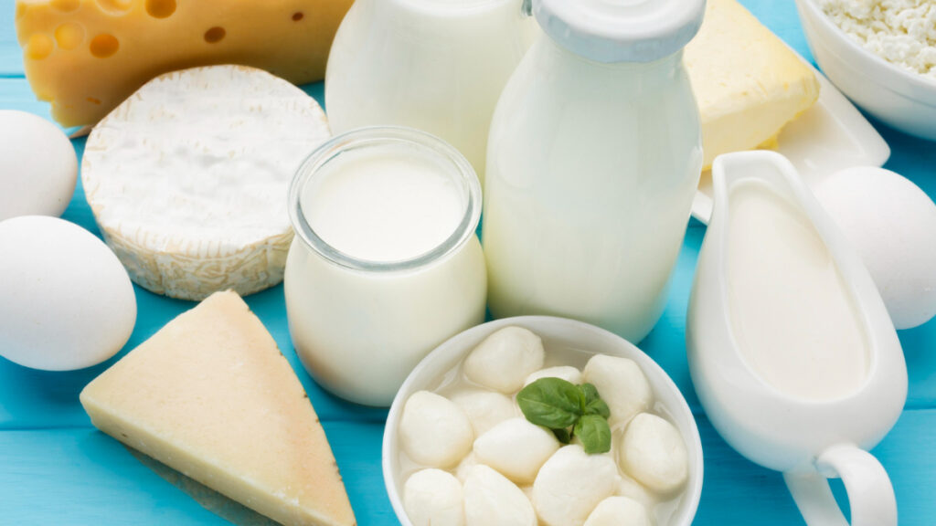 Varios ejemplos de productos lácteos