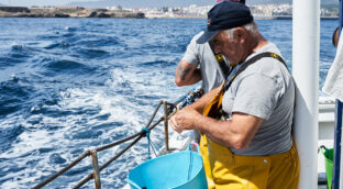 Preservar la pesca sostenible del gran tesoro culinario gaditano tiene premio