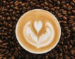 Teoría y práctica del café de especialidad