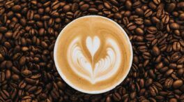 Teoría y práctica del café de especialidad