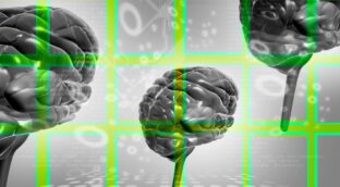 El cerebro humano no busca la verdad: una explicación científica a por qué mentimos