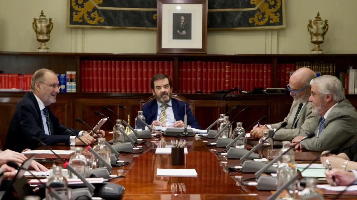 El presidente del CGPJ mantiene el pleno extraordinario para debatir sobre la amnistía