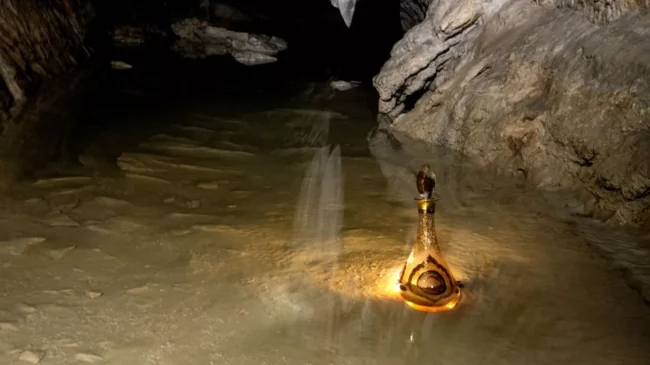 Centauri Honey, la miel más cara del mundo: hasta un millón de dólares el kilo