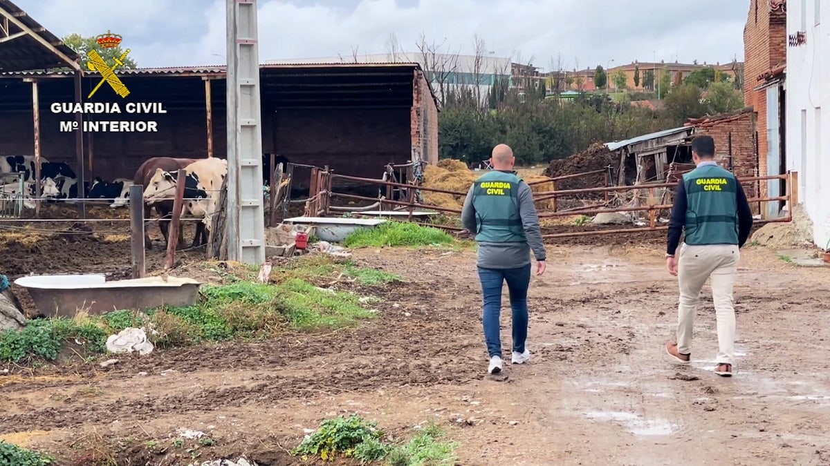 Investigan un fraude de 1 millón de euros en el cobro de la PAC en Castilla y León