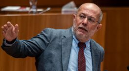 Igea califica a García-Gallardo de «payaso» y «sinvergüenza» por atacar a las ONG