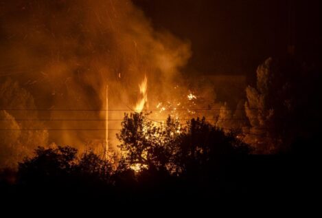 Bruselas propone una Ley de Vigilancia Forestal para proteger los bosques