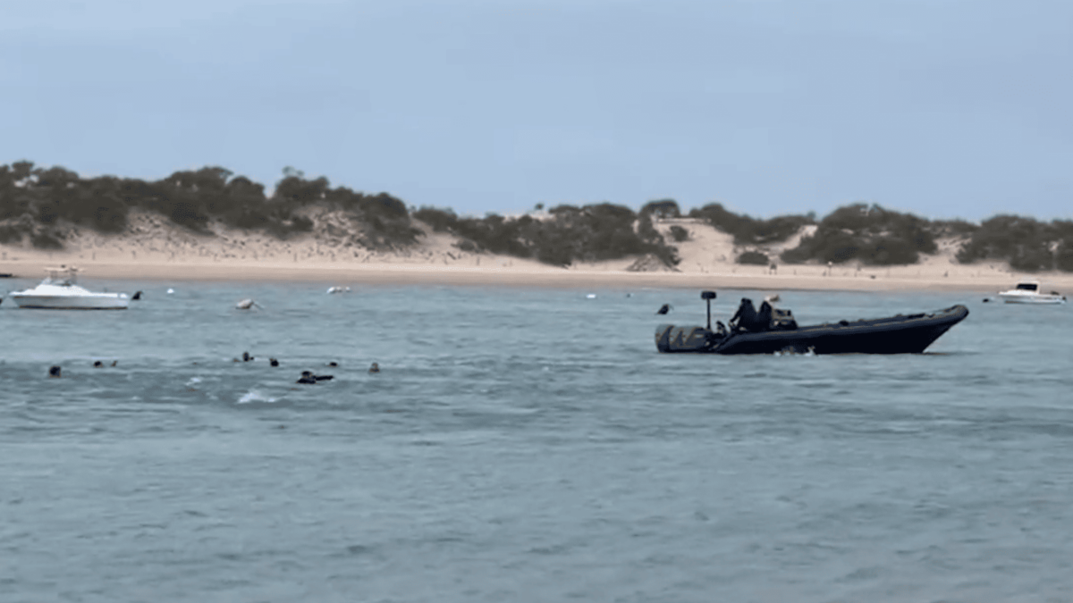 Cuatro inmigrantes fallecidos tras ser arrojados de una embarcación en Camposoto (Cádiz)