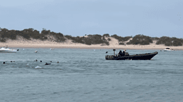 Cuatro inmigrantes fallecidos tras ser arrojados de una embarcación en Camposoto (Cádiz)