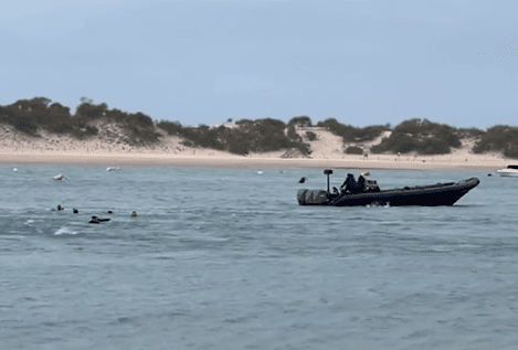 Cuatro inmigrantes fallecidos tras ser arrojados de una embarcación en Camposoto (Cádiz)
