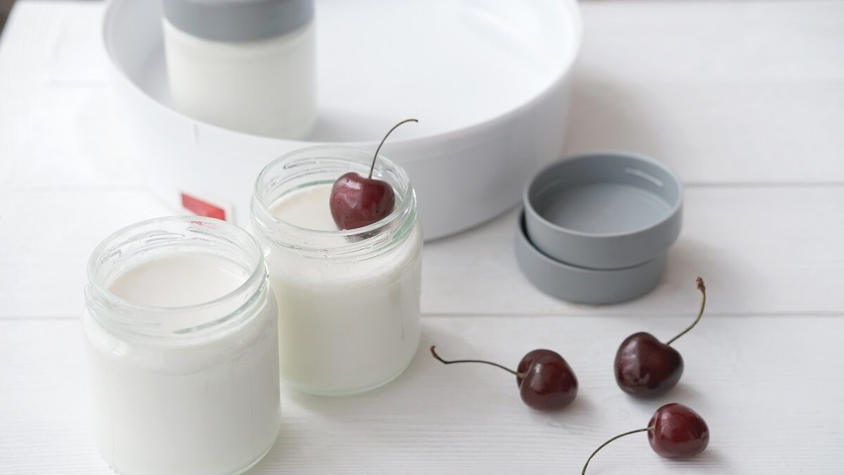 Las 6 mejores yogurteras para preparar tu propio yogur
