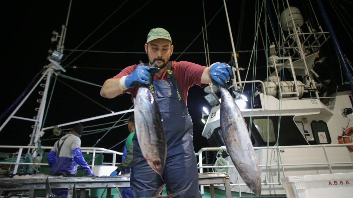 El sector pesquero alerta del envejecimiento de sus trabajadores: «Hay barcos sin personal»
