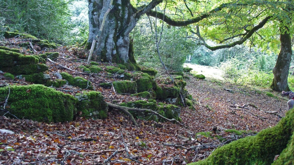 Hallan los cadáveres de un padre y su hijo en la sierra de Urbasa (Navarra)