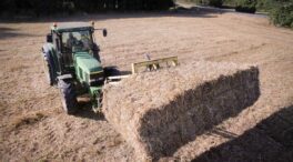 El sector cerealista pide ayudas al Gobierno ante la creciente importación desde Ucrania