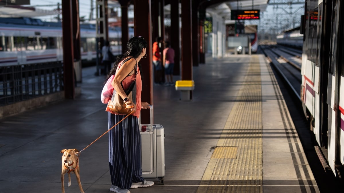 Los trenes de alta velocidad Madrid-Barcelona, con retrasos por una avería en Guadalajara