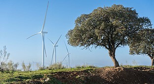 Así es Merengue II, el nuevo parque eólico de Naturgy