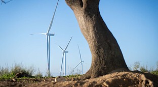 Las empresas de baterías recurren a expertos para evitar que se provoquen incendios