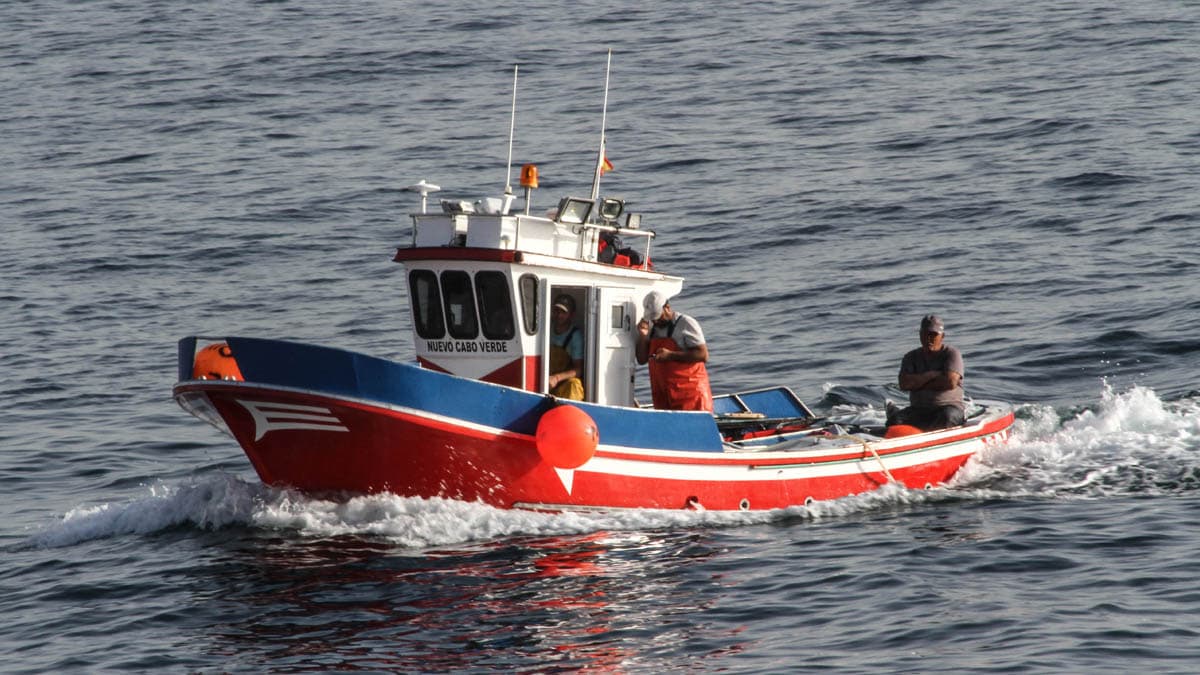 La UE pacta la pesca para 2024 con la cifra de merluza «más importante del siglo» para España