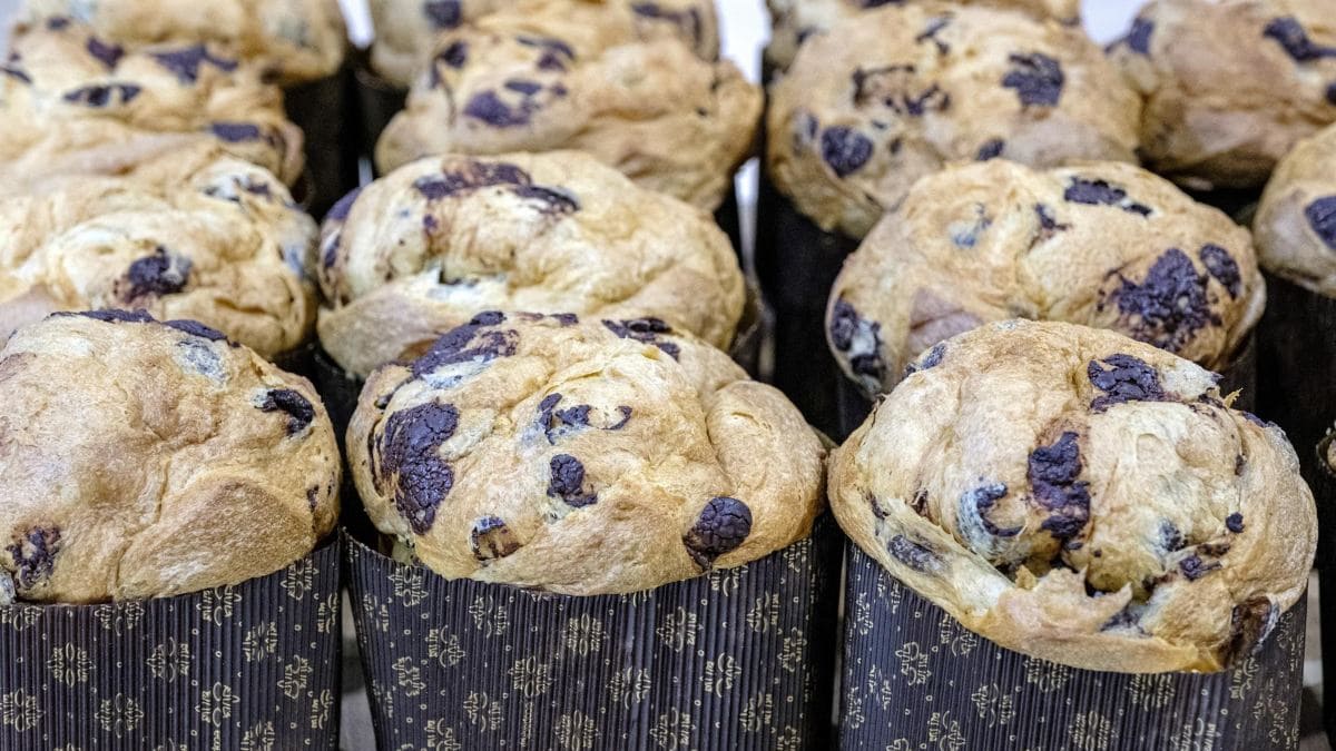 El dichoso panettone (de todas las Navidades)