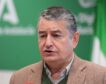 La Junta cree que ascender a Montero premia «a la ministra que más castiga a Andalucía»