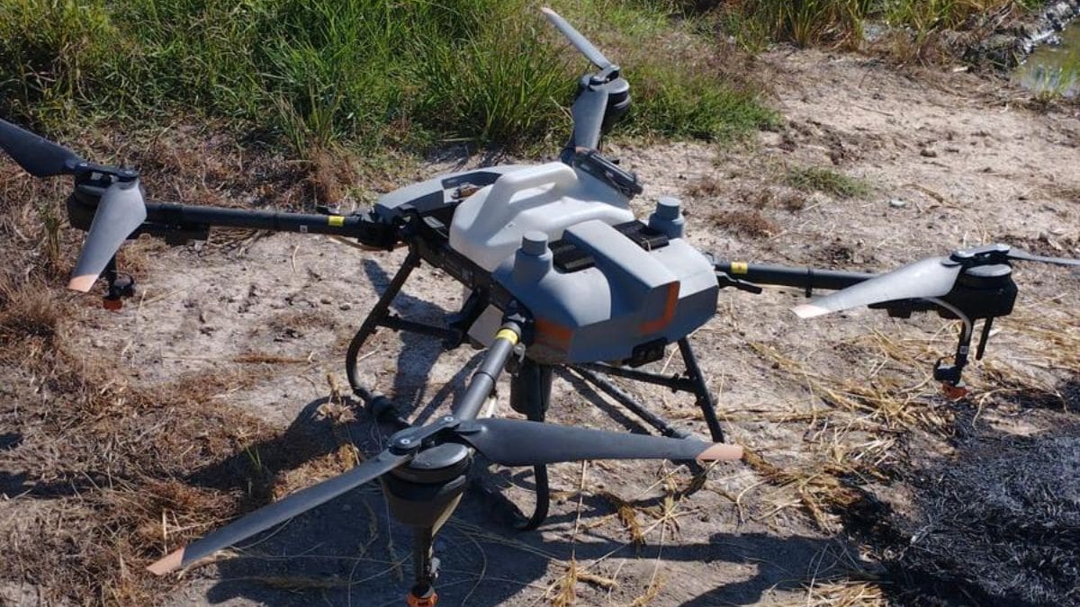 El cultivo de arroz se moderniza: agricultores de Valencia se forman para trabajar con drones