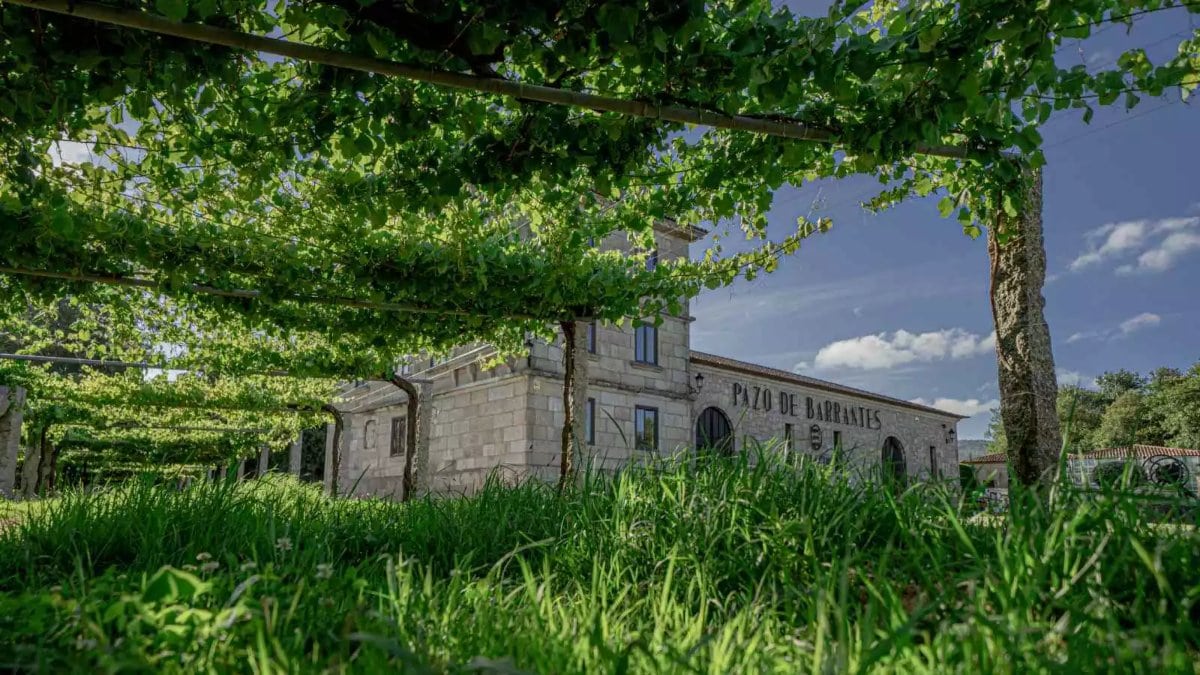 Vino blanco Pazo Barrantes 2020: mejor albariño del año