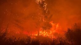 Dos medios aéreos y cuatro unidades forestales trabajan en un incendio en Castellón