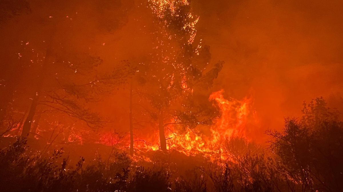 Dos medios aéreos y cuatro unidades forestales trabajan en un incendio en Castellón