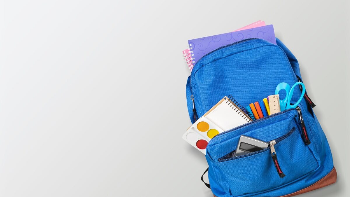 Las 5 mejores mochilas escolares adolescentes grandes 