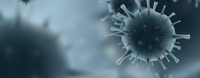 Cómo activar tus mitocondrias para tener una vida más longeva: ocho cosas que debes hacer