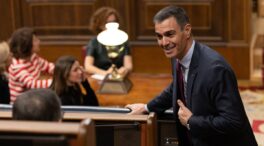 Un grupo de juristas presiona para debatir la amnistía en el Congreso pese al plan del PSOE