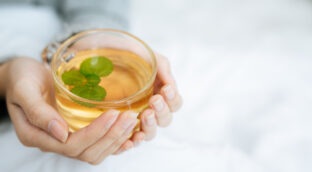 Cómo hacer té de lechuga, un somnífero natural en forma de infusión