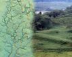 The Ecuadorian Amazon hides ancient lost agricultural cities