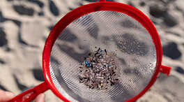 Qué son los pellets de plástico y cuáles son sus peligros para el medio ambiente