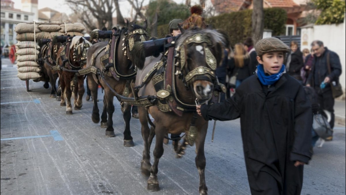 Cien municipios catalanes usan animales para sus cabalgatas a pesar de la nueva ley Belarra