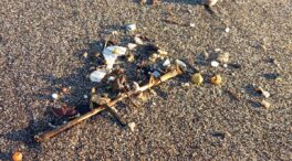 La ONU advierte del daño de los microplásticos y 'pellets' en humanos y animales marinos